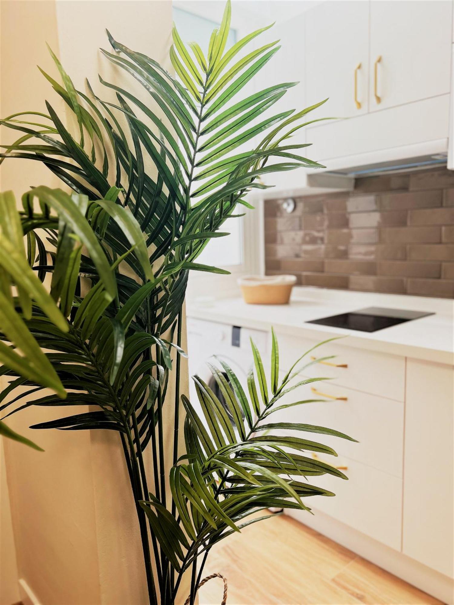 Apartamentos Pepita San Sebastián de la Gomera Εξωτερικό φωτογραφία